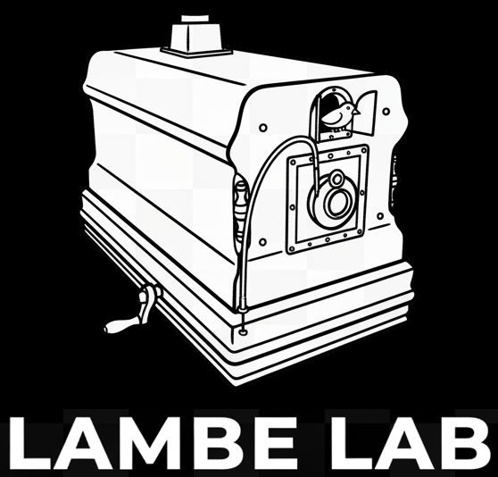 Lambe Lab